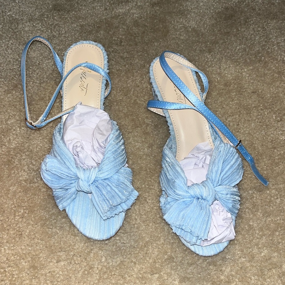 NWT Blue Shoes